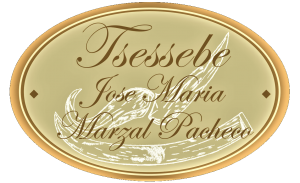 Tsessebe Safaris logo ivory